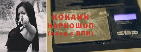 шишки Абинск