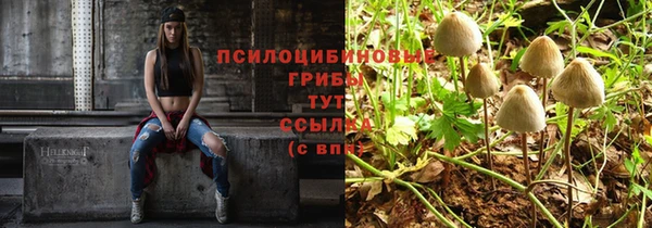 шишки Абинск