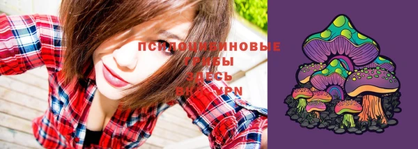 шишки Абинск