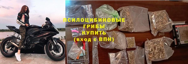шишки Абинск